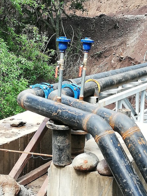 48503709692_e646615aca_z