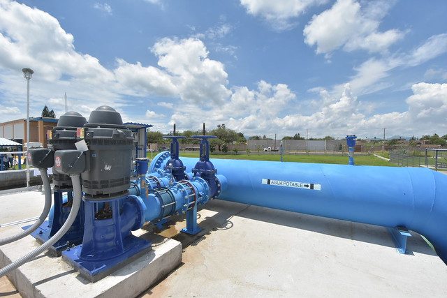 48626113986_088f676665_z