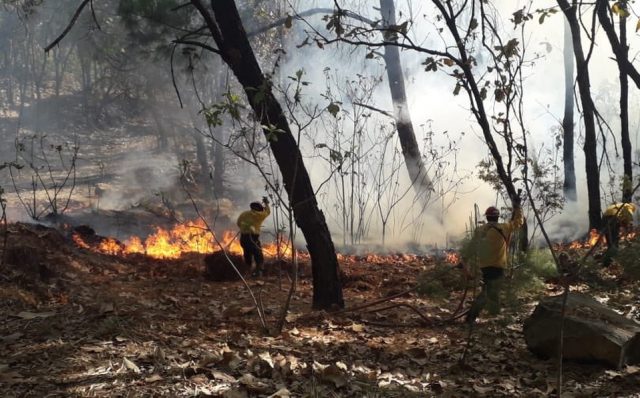 bomberos-trabajan-para-sofocar-el