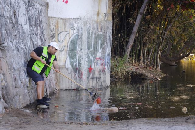 5274f2f0-415c-4d0a-9963-47af77fa07af