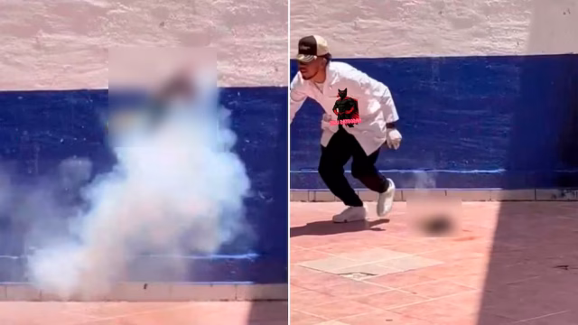 EstudianteExplotaGatito